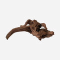 LYPHARD AQUARIUMS Natural Driftwood by LYPHARDAQUARIUMS
