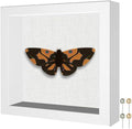 Califortree Small 5x5 Shadow Box Frame, Soft Linen Back, Push Pins Included by Califortree