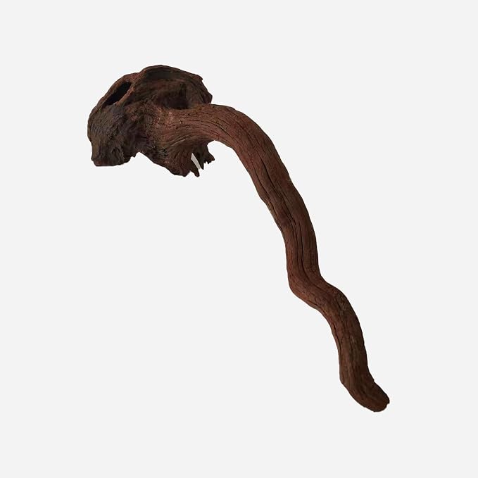 LYPHARD AQUARIUMS Natural Driftwood - Image 4