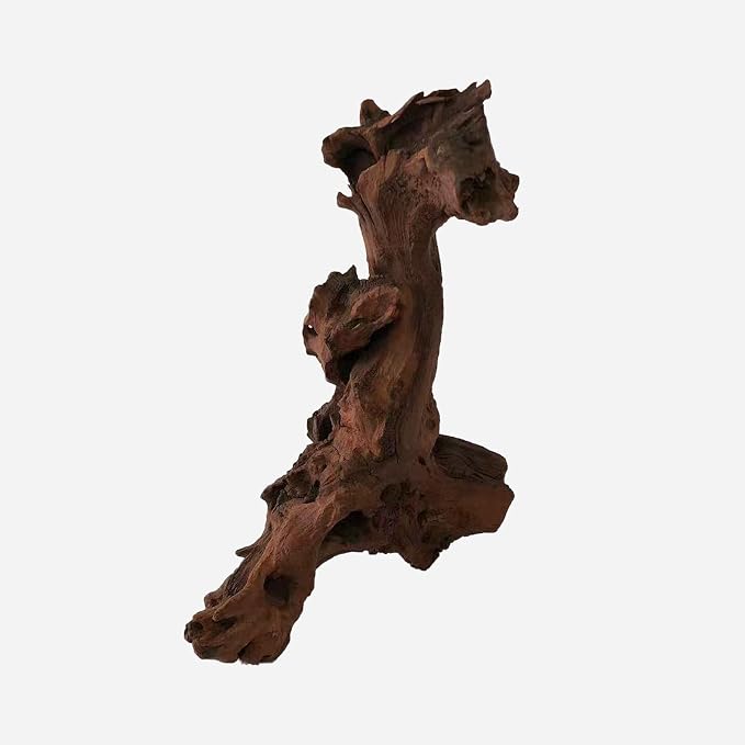 LYPHARD AQUARIUMS Natural Driftwood - Image 3