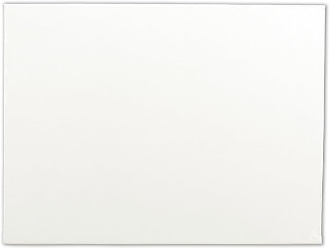 Winsor & Newton Artist's Canvas Board by WinsorNewton