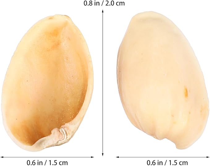 SEWACC Empty Pistachio Shells for DIY Crafts, Natural Handicraft Material for - Image 5