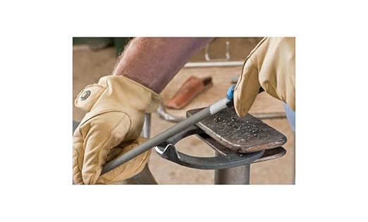 PFERD 11020P 6" DIY Packaged, Bastard Cut Half Round File with Handle