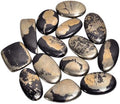 Natural Loose Gemstone 5 Piece Cabochons Lot Jewelry Making Loose Gemstone by Crysmona