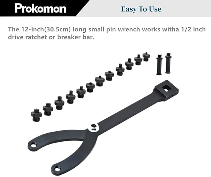 Prokomon Variable Cylinder Spanner Wrench Set; 15Pc Adjustable with Variable Spanner Wrench Pins