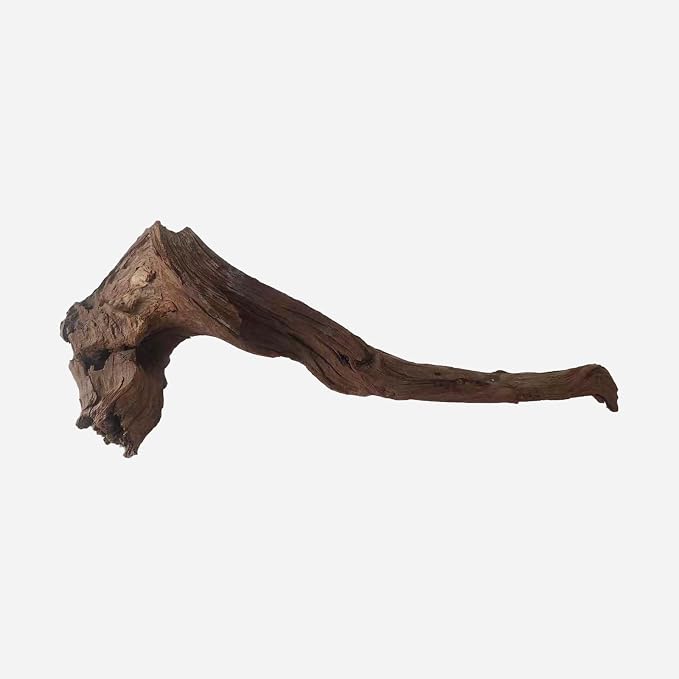 LYPHARD AQUARIUMS Natural Driftwood by LYPHARDAQUARIUMS