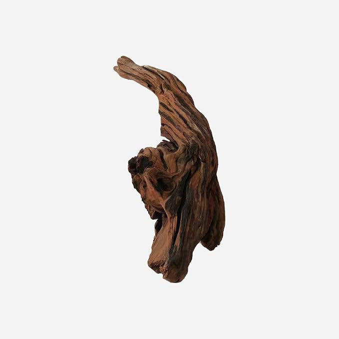 LYPHARD AQUARIUMS Natural Driftwood - Image 3