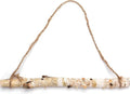 BYHER 15-Inch White Birch Logs for Decoration by Byher