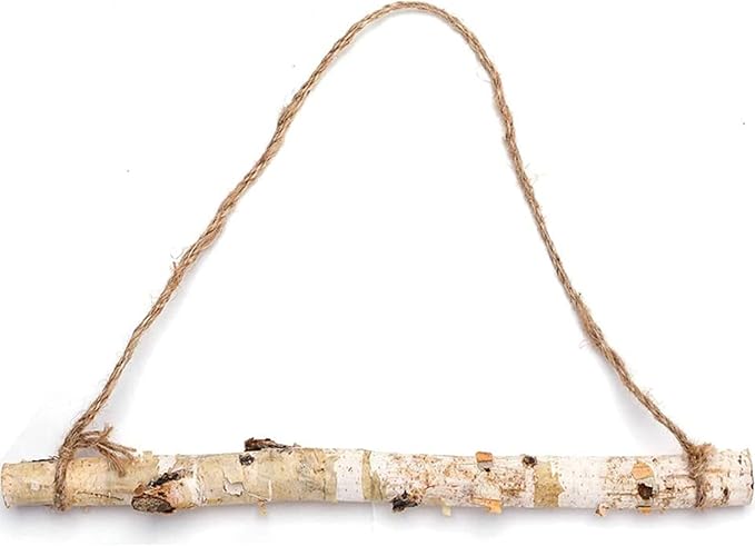 BYHER 15-Inch White Birch Logs for Decoration by Byher
