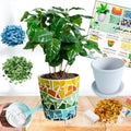 jiezaidada Adult DIY Mosaic Flower Pot Kit, Glass Tile Planter Craft by Jiezaidada-MosaicArtCraft