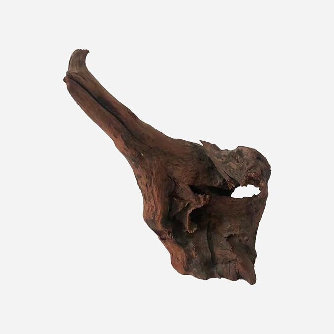 LYPHARD AQUARIUMS Natural Driftwood by LYPHARDAQUARIUMS