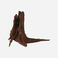 LYPHARD AQUARIUMS Natural Driftwood by LYPHARDAQUARIUMS