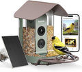 Kiwibit Smart Bird Feeder with Camera Solar Powered, No Subscription by Kiwibit