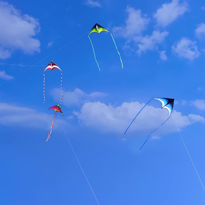 Mint's Colorful Life Delta Kite - Image 6