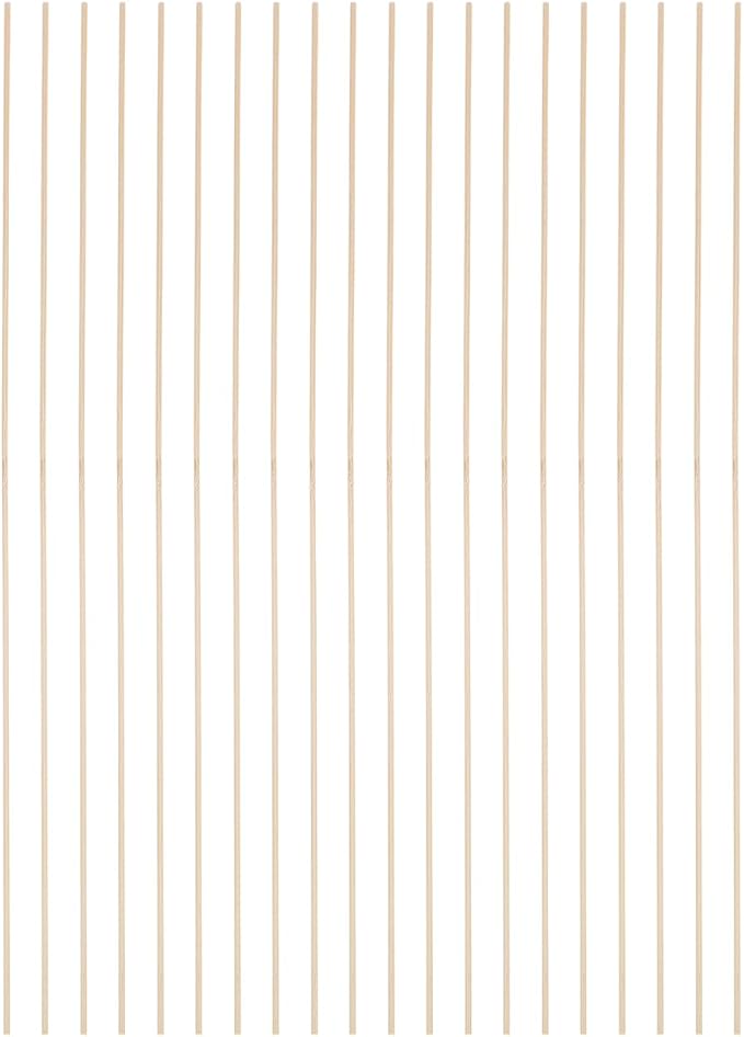 Abaodam 20Pcs Bamboo Kite Sticks, 23.4 Inch Thin Wood Long Dowels by Abaodam
