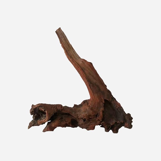 LYPHARD AQUARIUMS Natural Driftwood by LYPHARDAQUARIUMS