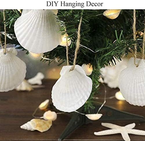 SEAJIAYI 30 PCS Scallop Shells 2-3 Inch Natural White Sea Shells from Sea Beach - Image 7