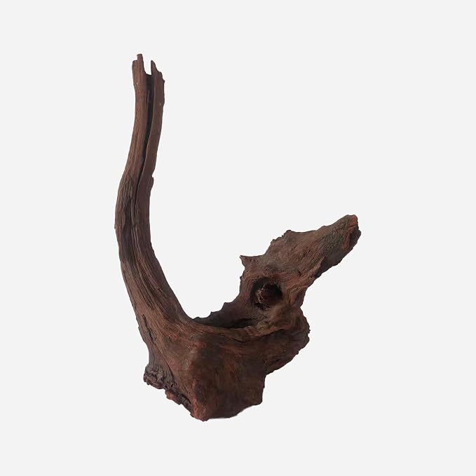 LYPHARD AQUARIUMS Natural Driftwood by LYPHARDAQUARIUMS