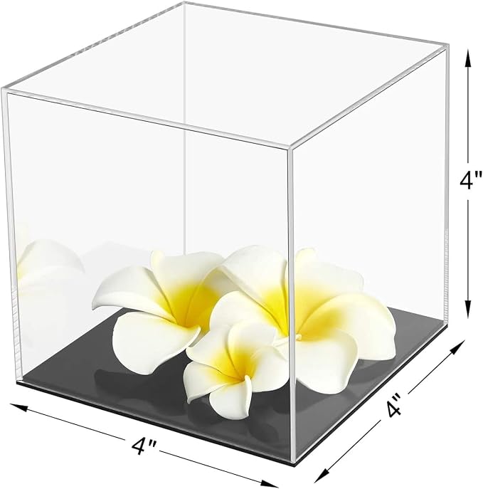 Cliselda Clear Acrylic Display Case - Image 6