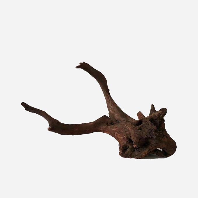 LYPHARD AQUARIUMS Natural Driftwood by LYPHARDAQUARIUMS