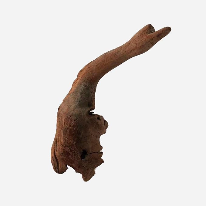 LYPHARD AQUARIUMS Natural Driftwood - Image 4