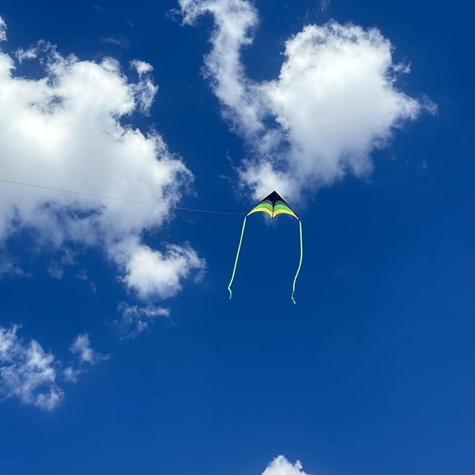Large Single Line Beach Kite for Adults - Image 2