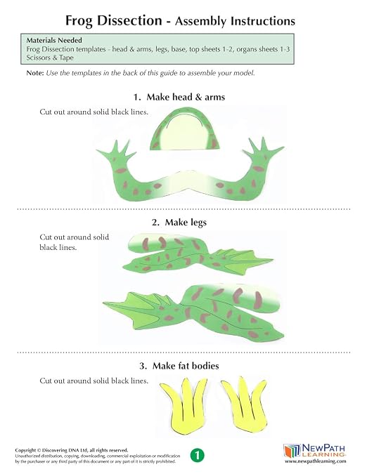 NewPath Learning Frog Dissection 3-D Paper Model Making Kit, Set/5 Full-Color - Image 3
