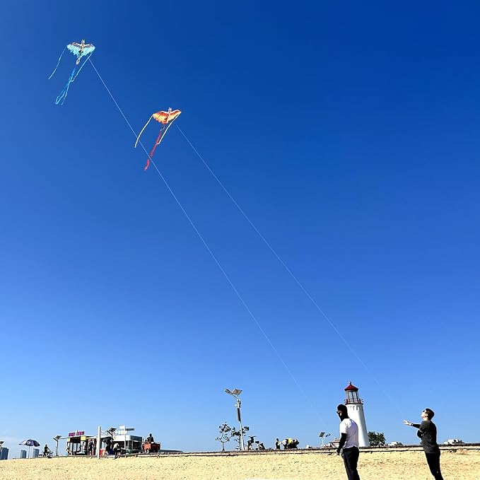 Dragon Kite for Kids & Adults - Image 6