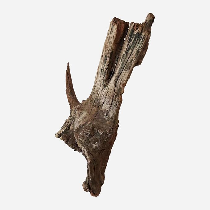 LYPHARD AQUARIUMS Natural Driftwood - Image 3