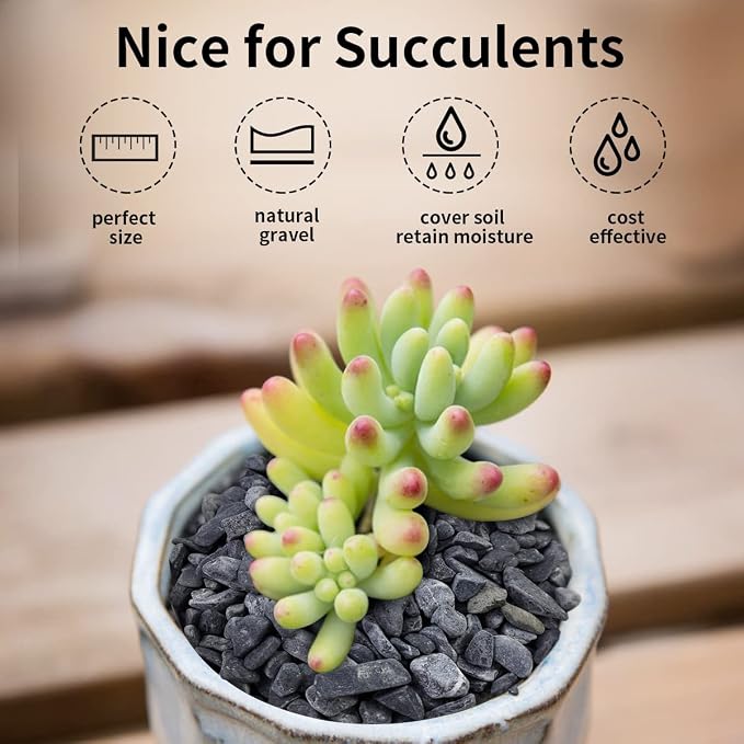 FANTIAN 10LB Black Pea Gravel for Landscaping, 3/8 Inch Black Pebbles for - Image 4