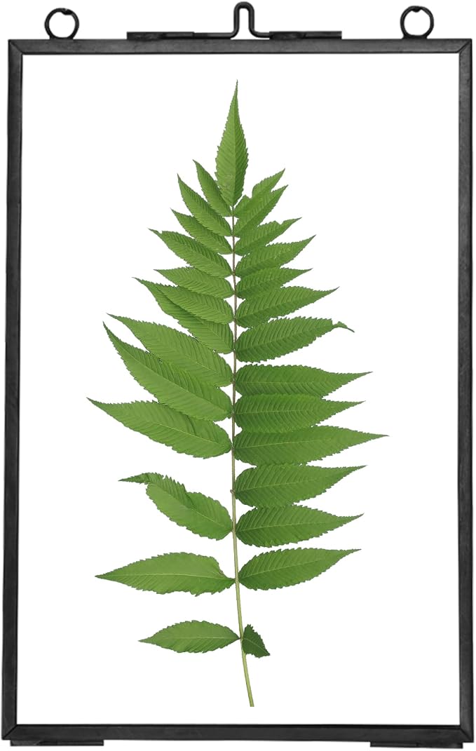 REDHUGO Hanging Pressed Flower Frames, Double Glass Floating Picture Frame - Image 9