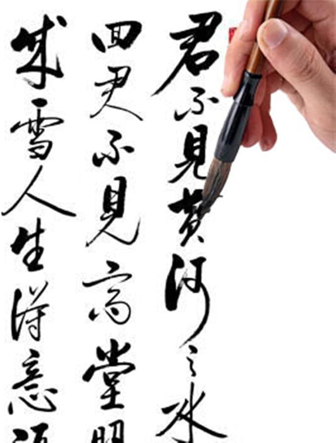 Befiy Chinese Calligraphy Brush, Writing Drawing Watercolor Ink Brushes Hubi - Image 6