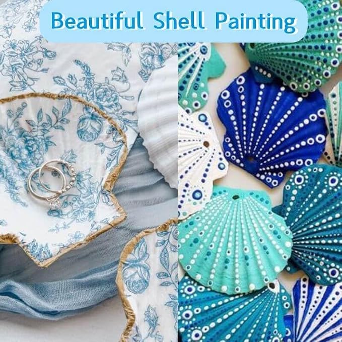 24PCS Sea Shells for Crafts Decoration - Image 7