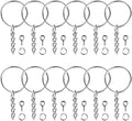 Paxcoo 100Pcs Keychain Rings by PAXCOO