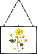 REDHUGO Hanging Pressed Flower Frame Handmade, Double Glass Picture Frame by REDHUGO