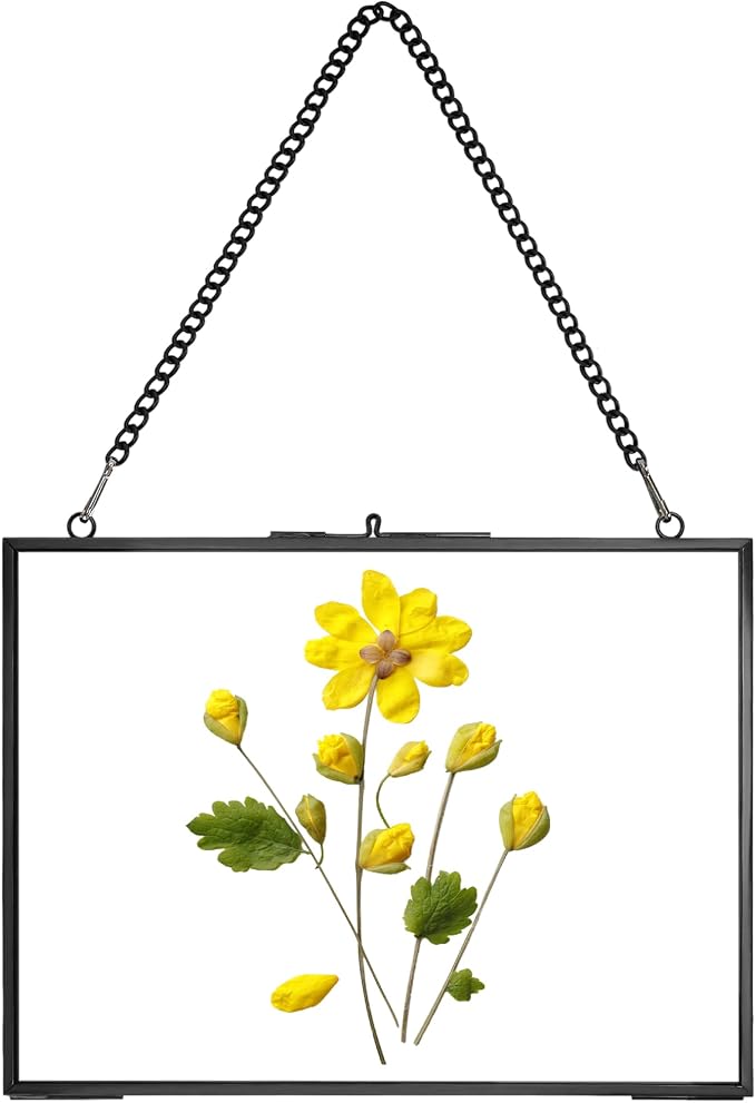 REDHUGO Hanging Pressed Flower Frame Handmade, Double Glass Picture Frame by REDHUGO