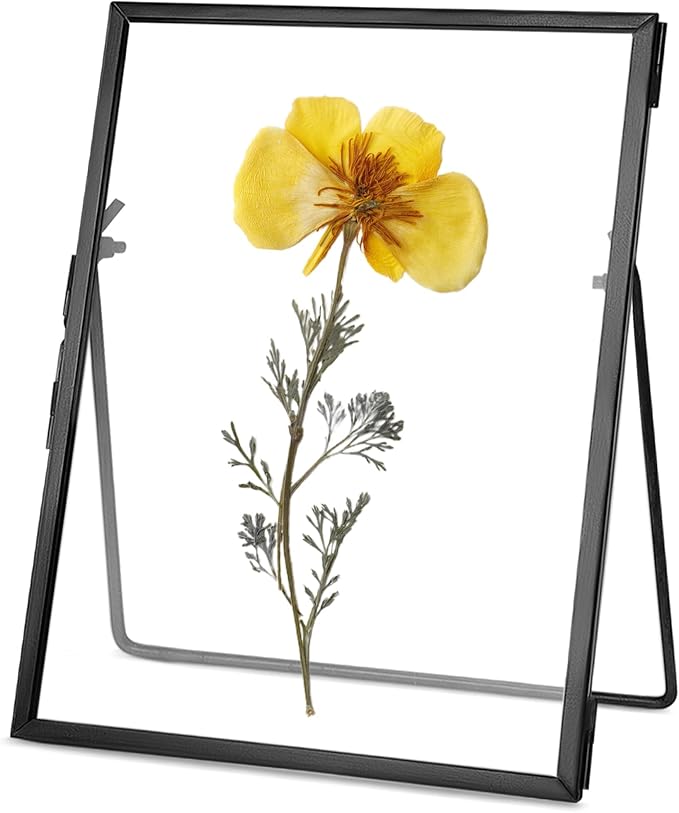 REDHUGO Glass Pressed Flower Frame Handmade, Floating Picture Frames by REDHUGO