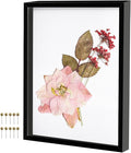 12x16 Large Shadow Box Frame by Unknown