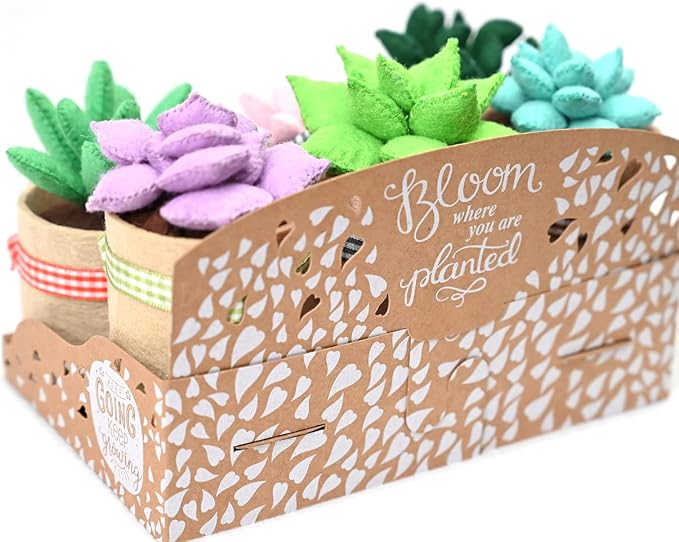 Glittery Garden Felt Succulent Craft Kit. Sewing Project to Make 6 Plushies | - Image 5
