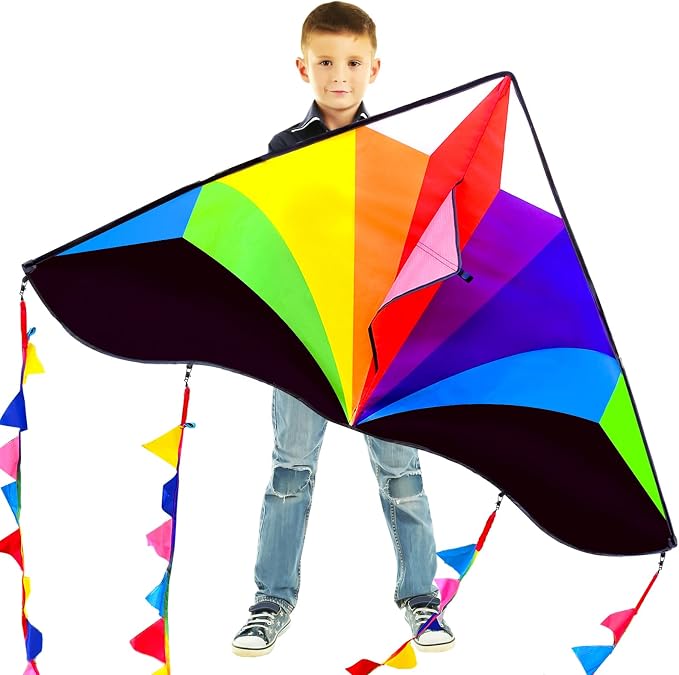 Large Single Line Beach Kite for Adults by Kaiciuss