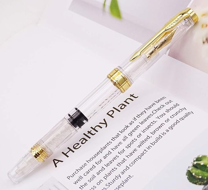 Lanxivi Yongsheng 3011 Demonstrator Clear Classical Fountain Pen Fine Nib Arrow - Image 3