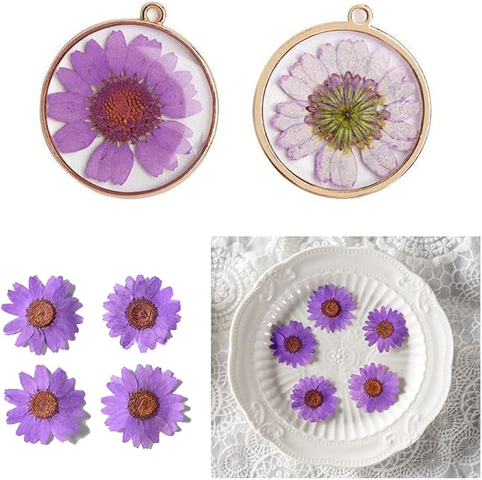 50pcs Natural Dried Daisy Flower, Vacuum Packaging, Pressed Flower - Image 3