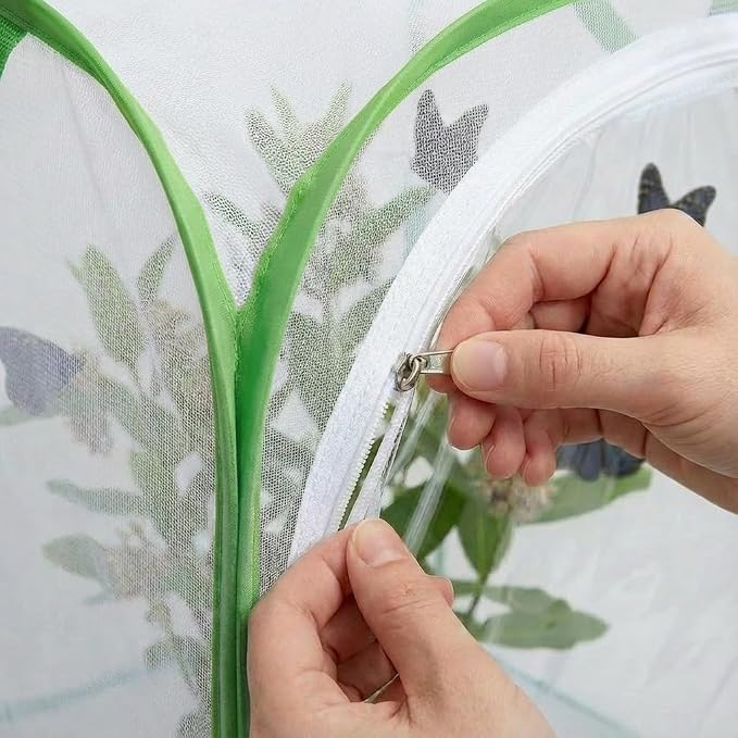 Insect & Butterfly Habitat Cage, Portable Pop-Up Terrarium - Image 4