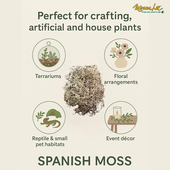 Mosser Lee Spanish Moss – Natural Decorative Moss - Image 5