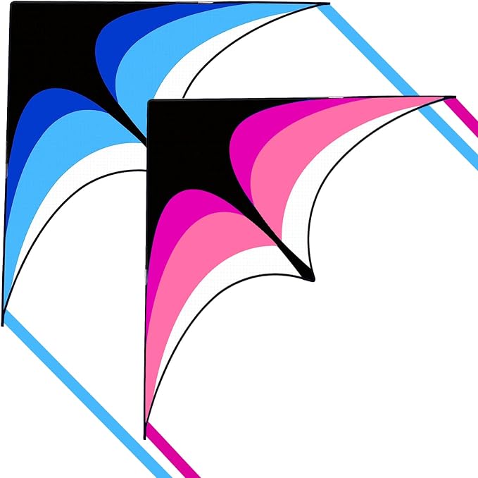 Large Single Line Beach Kite for Adults by Kaiciuss