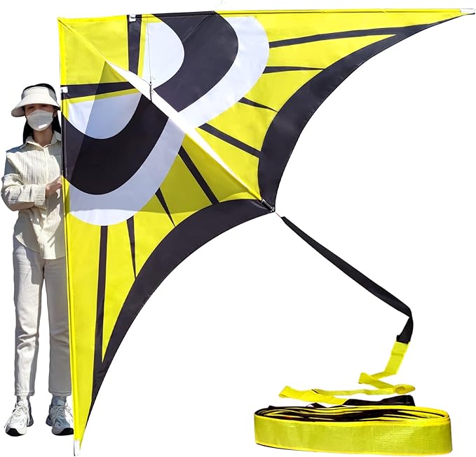 Large Single Line Beach Kite for Adults by Kaiciuss