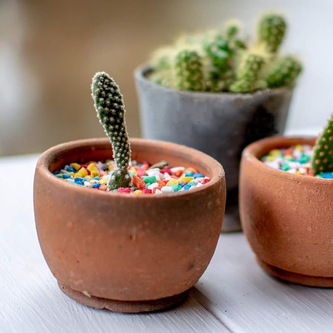 Mini Rainbow Confetti Gravel Pebbles Mix Colored Stones Aquarium Gravel - Image 5