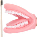 Patelai 1 Pcs Mouth Puppet Science-Kits by Patelai