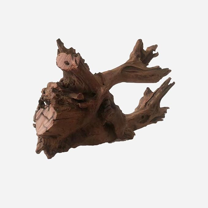 LYPHARD AQUARIUMS Natural Driftwood - Image 4