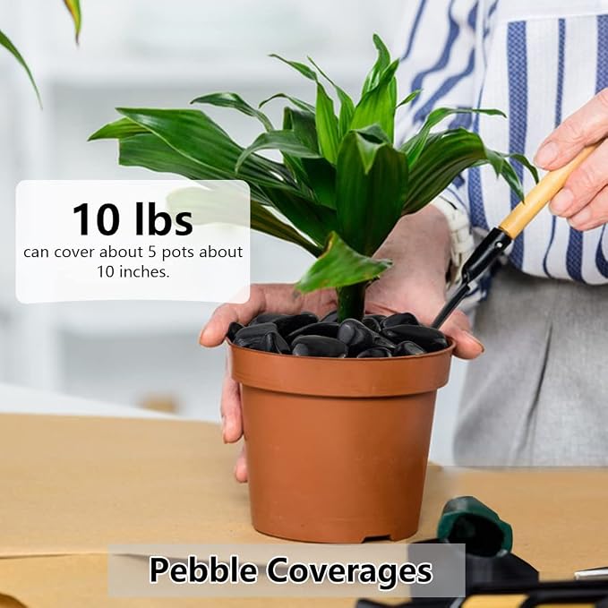YISZM 20lbs Black Pebbles for Plants, 1-2 Inch High Polished Natural River - Image 3